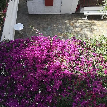 Villa Mikra Asia Poros Town Zewnętrze zdjęcie