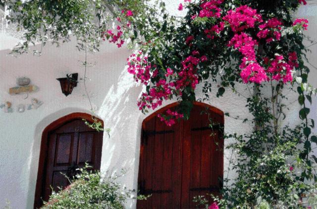 Villa Mikra Asia Poros Town Zewnętrze zdjęcie