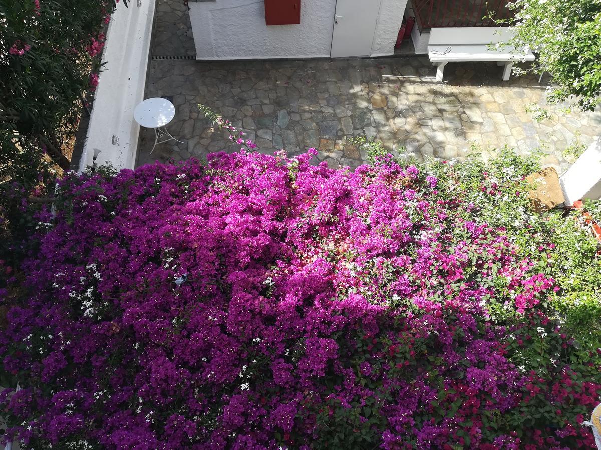 Villa Mikra Asia Poros Town Zewnętrze zdjęcie
