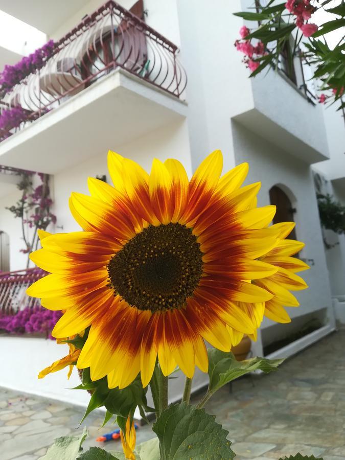Villa Mikra Asia Poros Town Zewnętrze zdjęcie